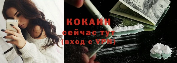 СК Волосово