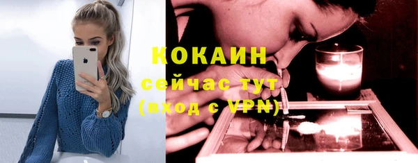 стафф Вяземский