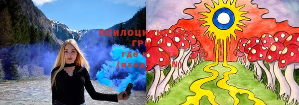 тгк Вязьма